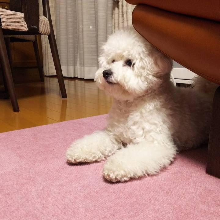 40ec3518 054b 46f2 826f cbb6bedcc526 1514120345354