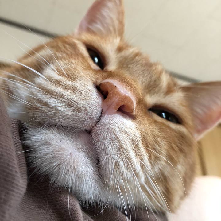 40ec4c53 5ccb 43e3 8b03 65e1f18087e9 1614467550360