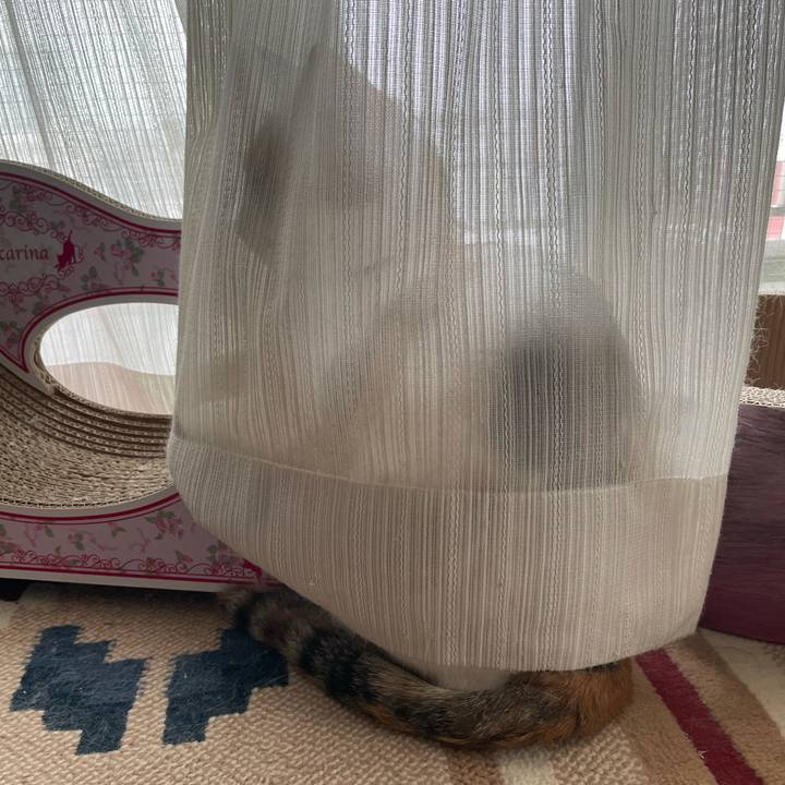 40ec60c8 ebeb 4ac5 a403 27f42be9c69f 1630106057456