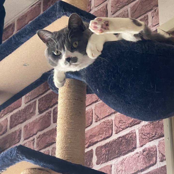 40ecac89 ae4d 42ce a370 5913a040695a 1714608245247