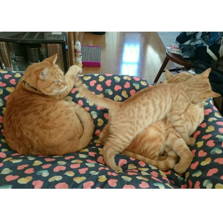 40eccd9c a198 4916 a33d fdb86e26b8a2 1541824084563