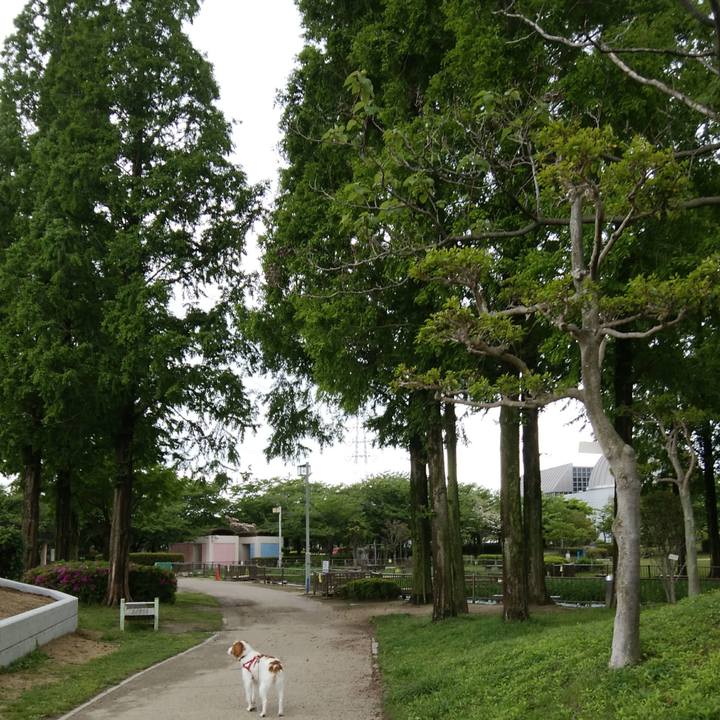 40ecce13 ead5 46eb a4cd 4323c1f04057 1524655744147