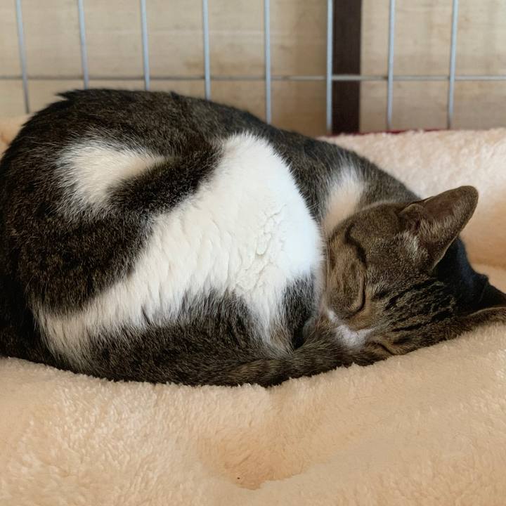 40ed0a2c 786c 4daf 885c cc4b51c08346 1573954503954