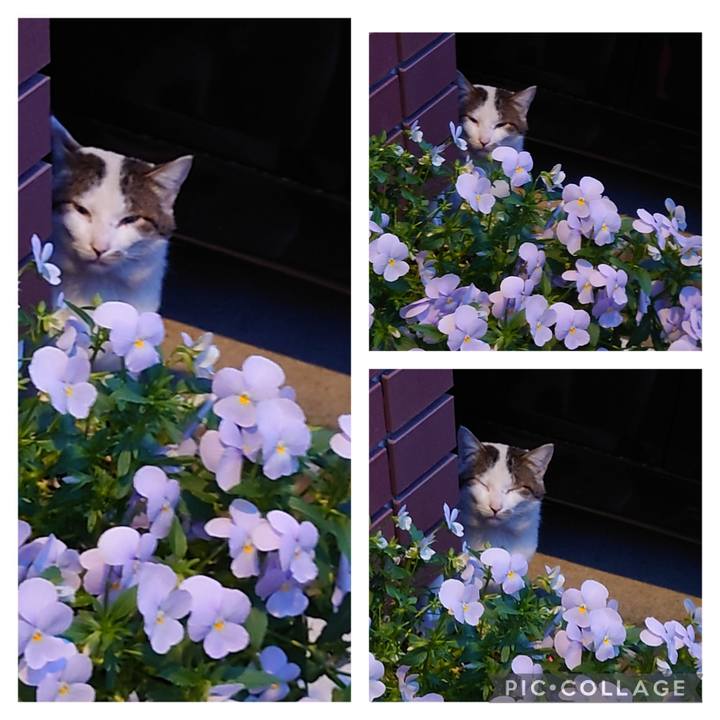 40ed0cdc 7ba8 441e b58a 25ae3bac9f8b 1649323635863