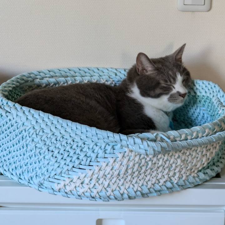 40ed4d35 2540 4ff1 8cc9 5d3e6a759793 1727308819843