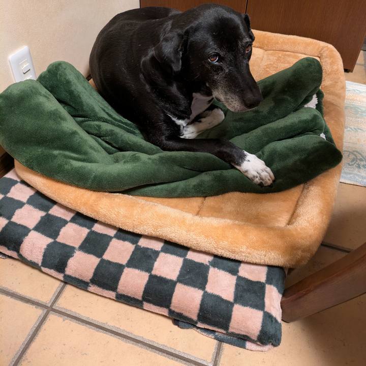 40ed6ea3 509b 4b0d a04f ac8eb0192bf3 1765057641103