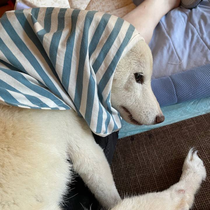 40ede8fa 5117 4607 8a63 6aabfc2f4869 1667459992852