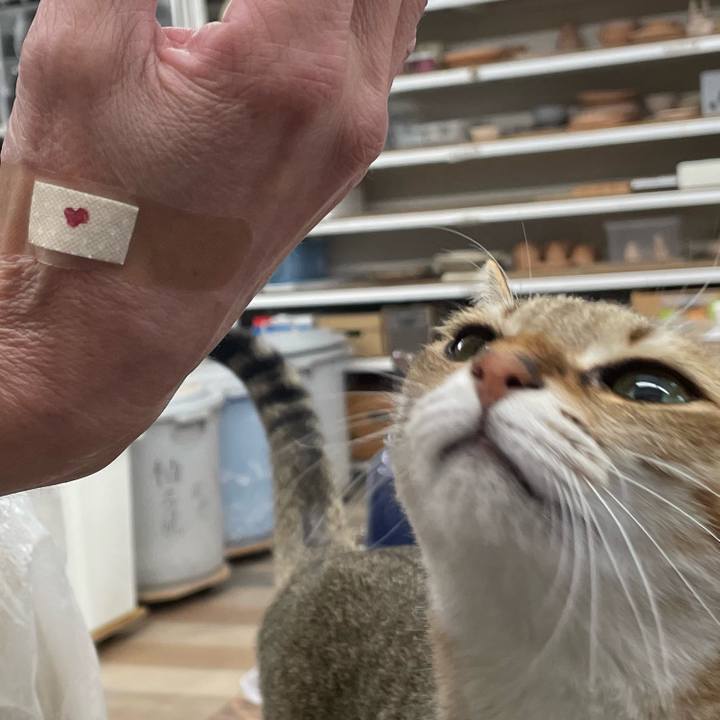 40edf2e1 29c1 42cc 90bf 64756526ff2b 1671947174706