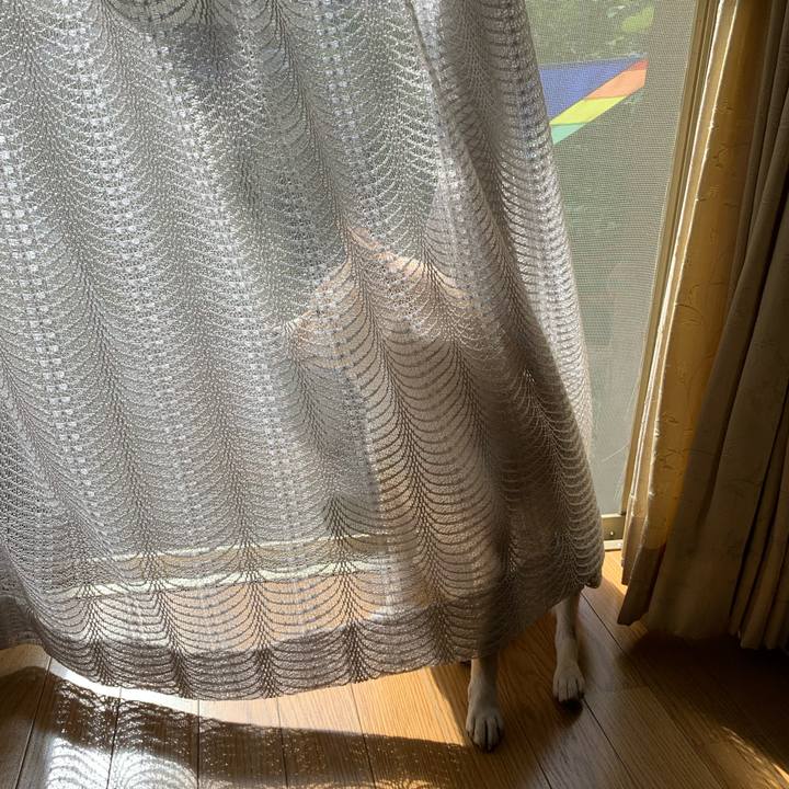 40ee122a fe3c 46d4 ac7b 95229291e26a 1632875435481