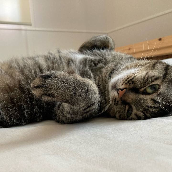 40ee41cb d79b 4832 9e9c 269deb7c57d9 1692595098981