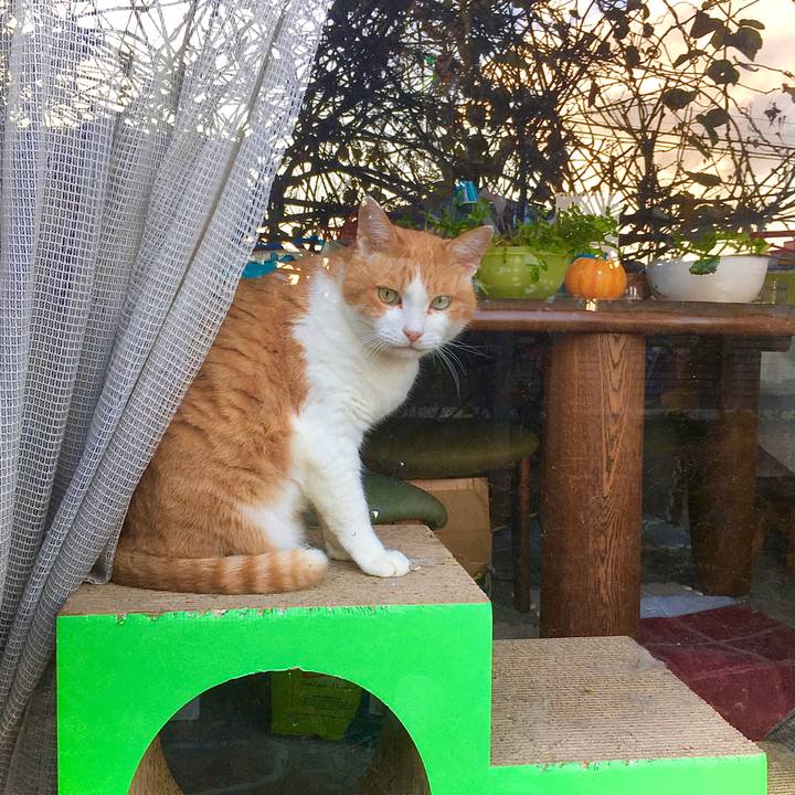 40ee61d5 28ae 4ebd b1d0 a85636c4d05c 1606256019061