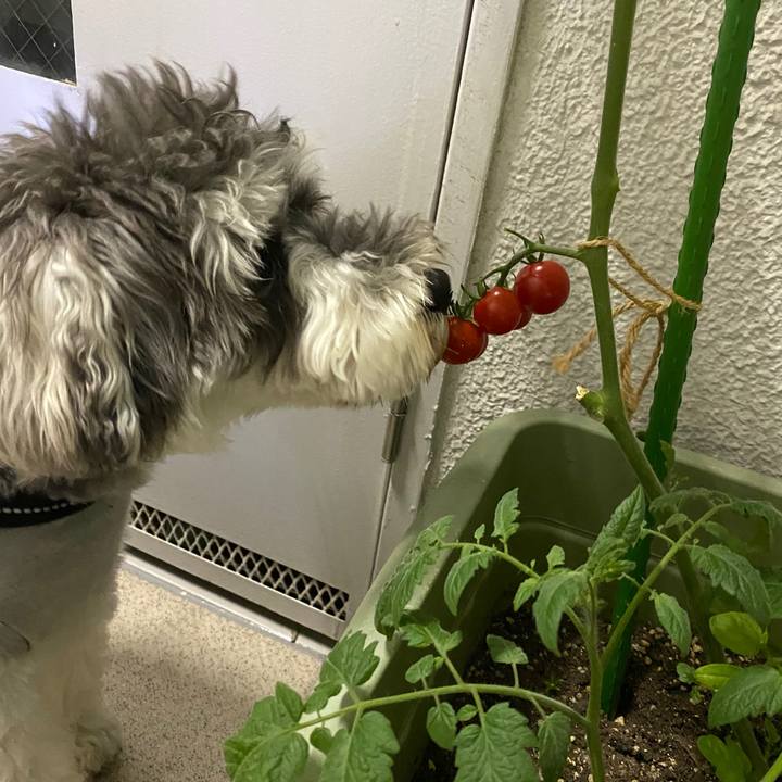 40ee7b81 f713 4d2b 84c1 3d1420ef74c5 1592405488728