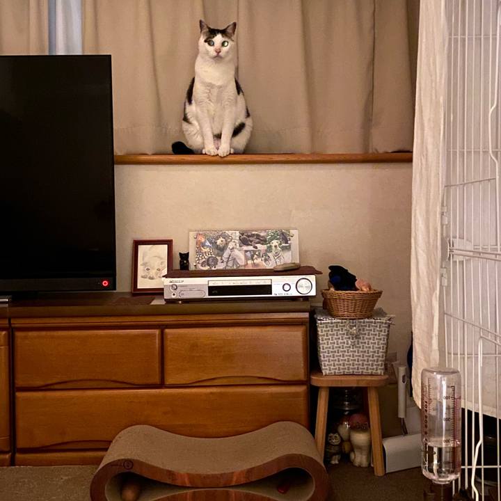 40eea624 dd65 4752 bbec 07709dba8307 1774190934803