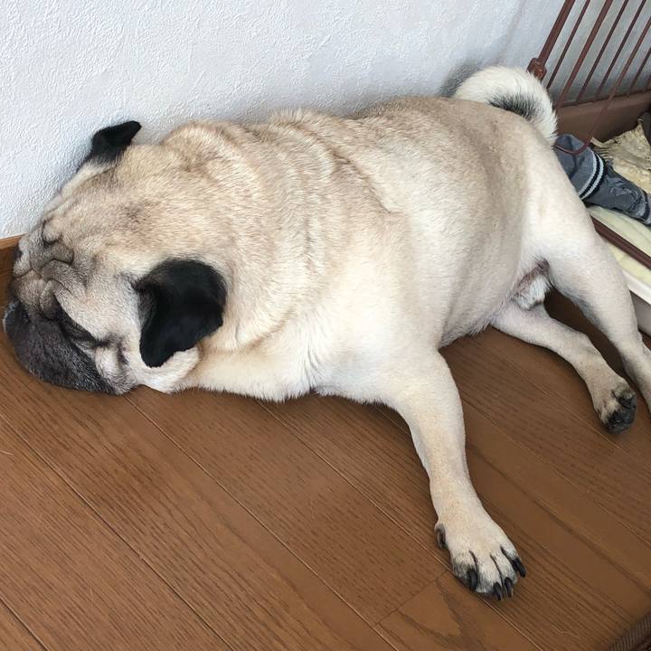 40eeae95 de21 4587 8e83 38b12b11ea08 1525160960364