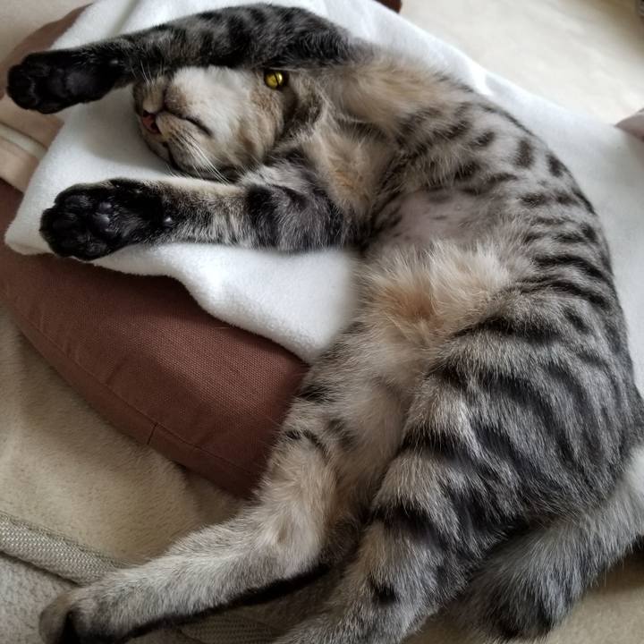 40eed83a 00a1 49b3 9e5f 78f16ffa6ef9 1678710617424