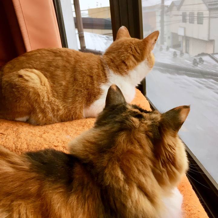 40ef0423 5e77 4133 a9c7 5df8e8255499 1563781240506