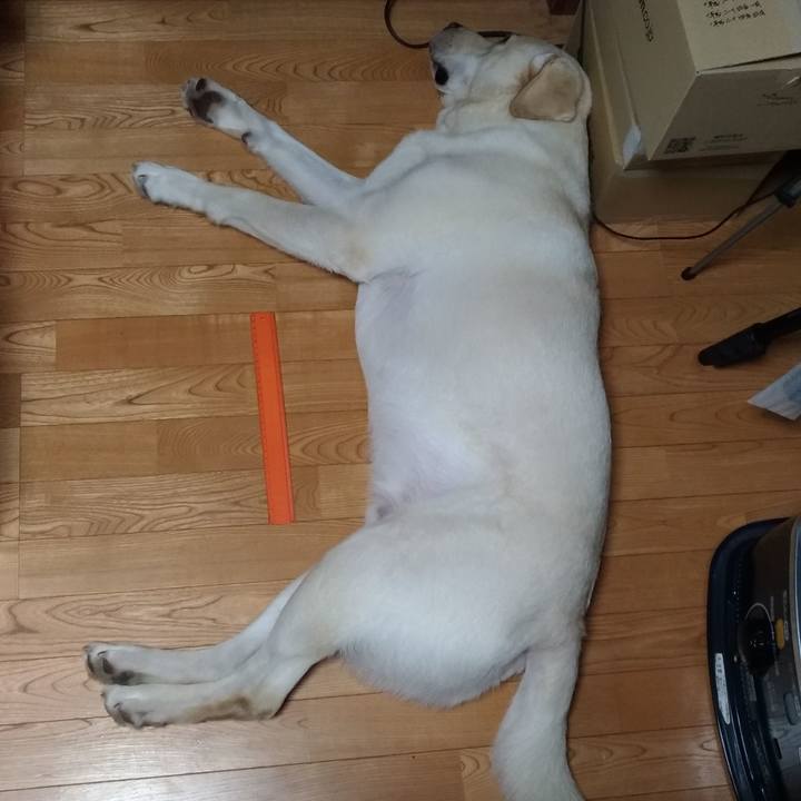 40ef054f 0723 4f5a a056 30d346f43940 1528893420490