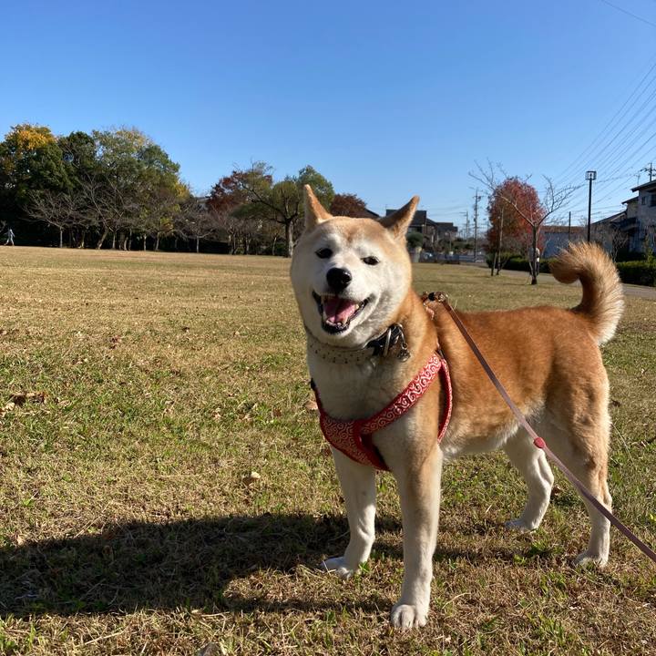 40ef7b57 3945 470d a634 011edf403678 1637130476243