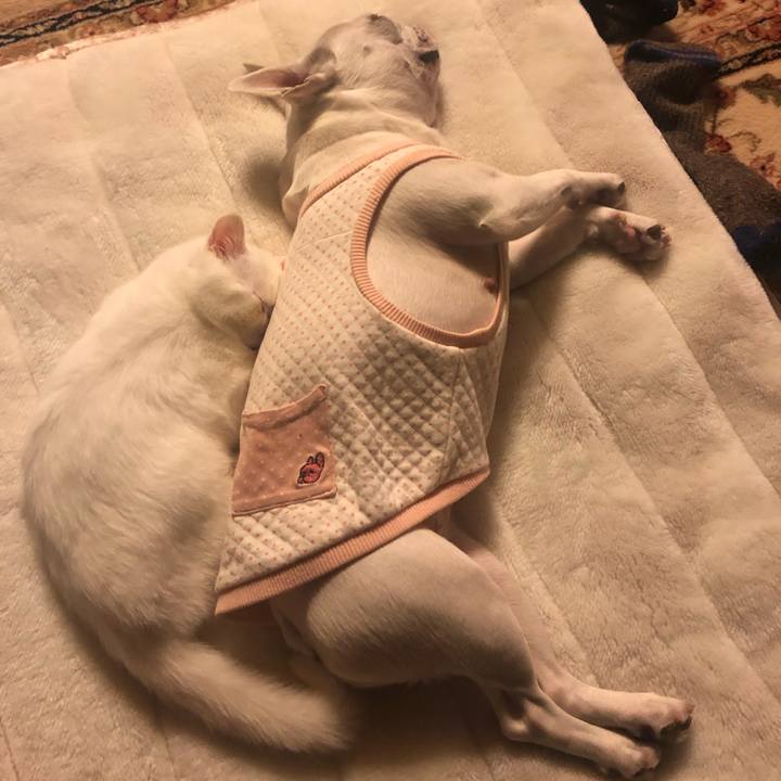 40ef9664 f399 4e95 a100 a2999d0052ac 1550327557144