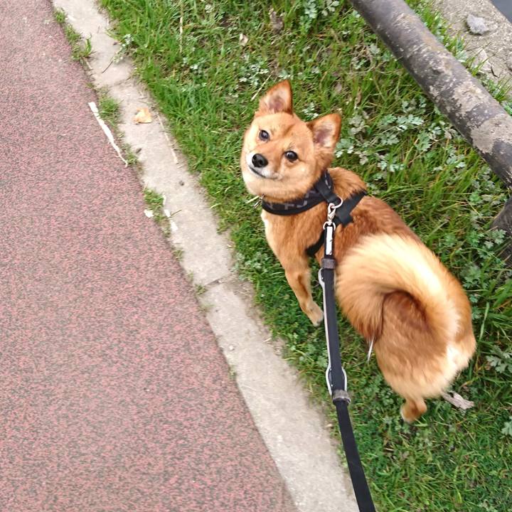 40ef96a7 d605 442d 89ac 6170d91bd743 1521364109401