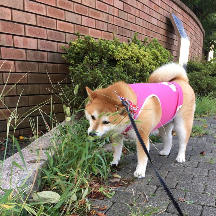 40ef9dec 0750 431c 8a63 dfeda62149d1 1568070024440