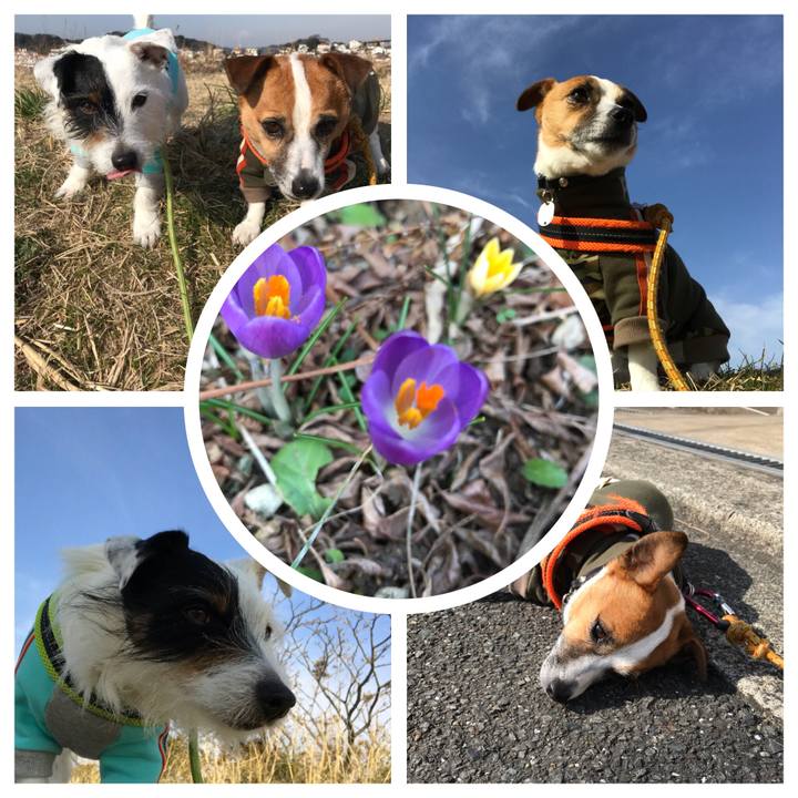 40efa305 897e 4a93 b8c2 16826fb76510 1519779487695