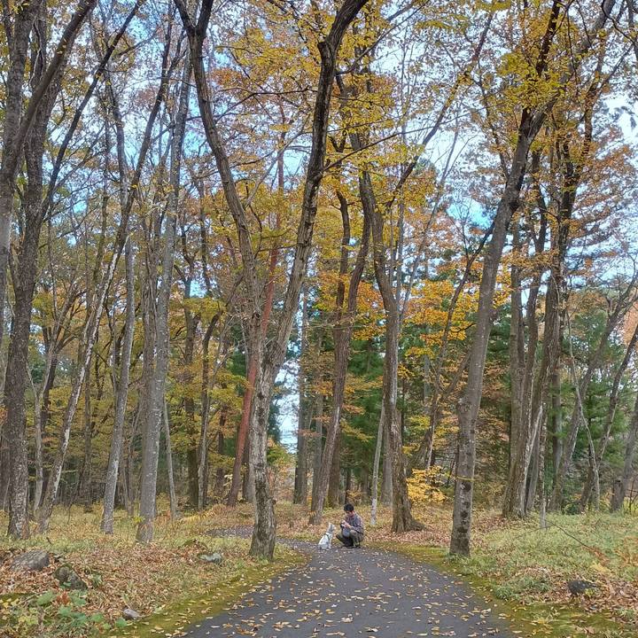 40efab1a 83a9 4d38 9020 ebe59dc71333 1763294124296