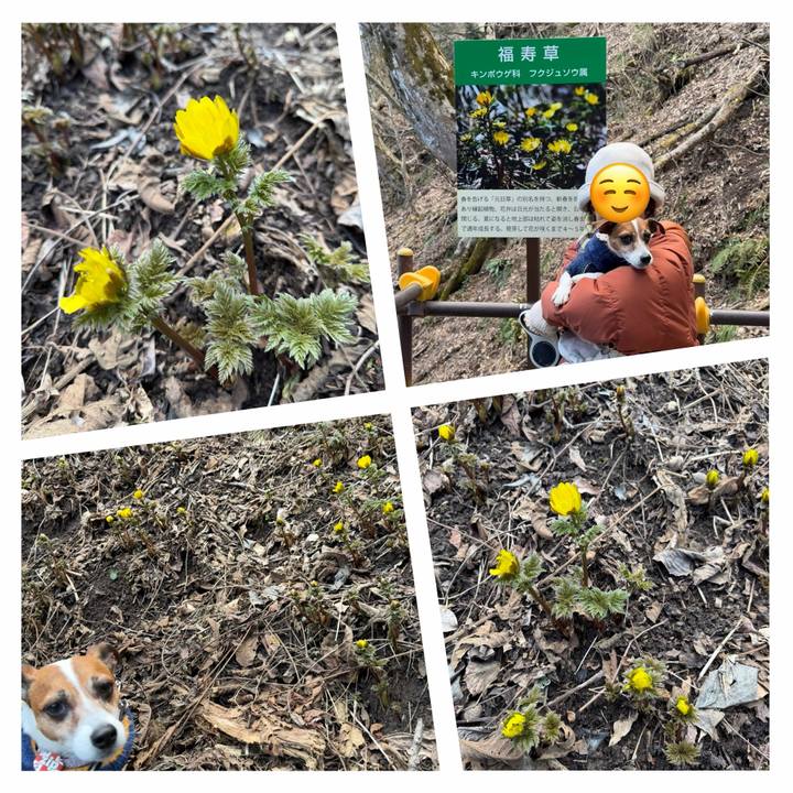 40eff405 bd6c 4f46 90c3 8a2595cbd74a 1773216727068