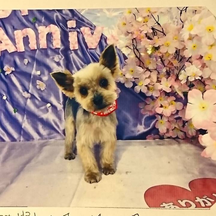 40f01586 842f 40cc 9aa5 e8e604221daf 1555225126435