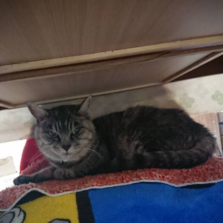 40f026e5 11db 4cfe 92ef 34d0518f44a2 1573509111982