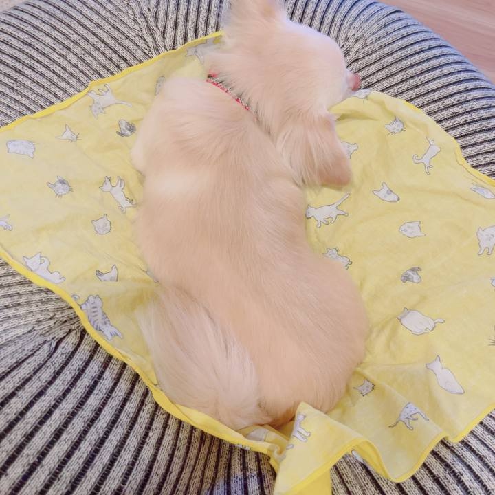 40f02ecb 9186 42b0 a2b6 0348ee7cb86d 1691933283404