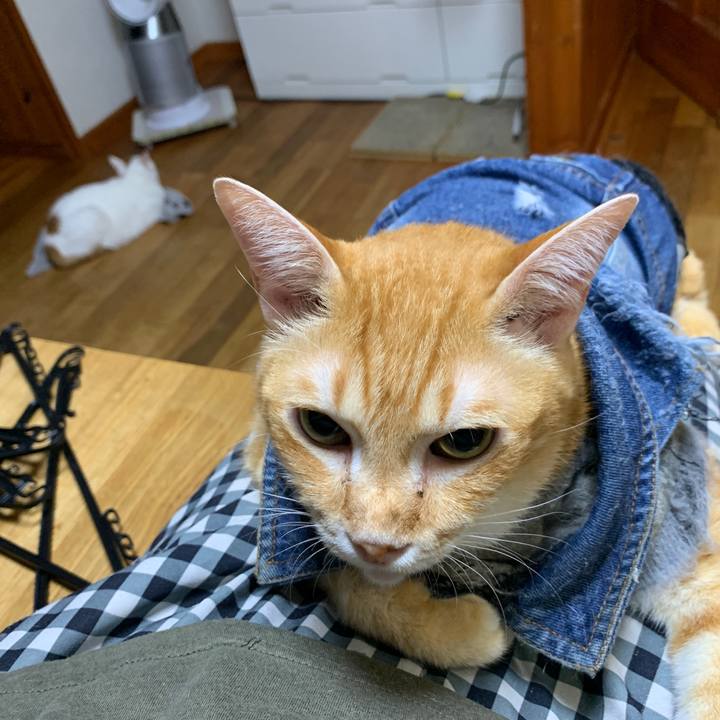 40f032b2 bc0d 4970 b5ca c7a9c62cd791 1661344964596