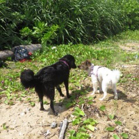 40f03512 7e3e 46b2 b730 4509fa5f9f65 1597057712078