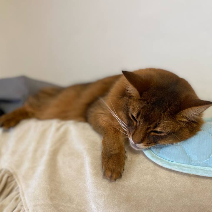 40f03d83 f6b8 4b65 b610 b83bfd8d3d3e 1654469037989