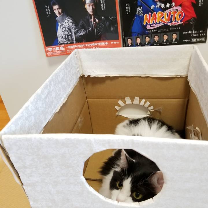 40f04814 5d6b 4d10 b758 87ffdc4ffef8 1534978988950