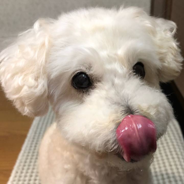 40f09e1e 27ca 48cc b850 0bf95a1c922d 1527665827121