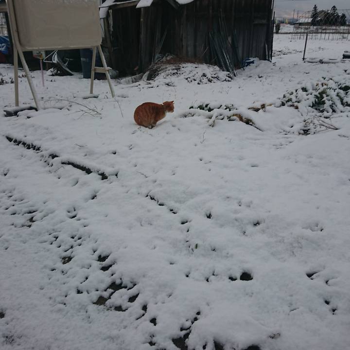 40f0bd0f f402 4608 8d2a 8720087b237d 1580507962632