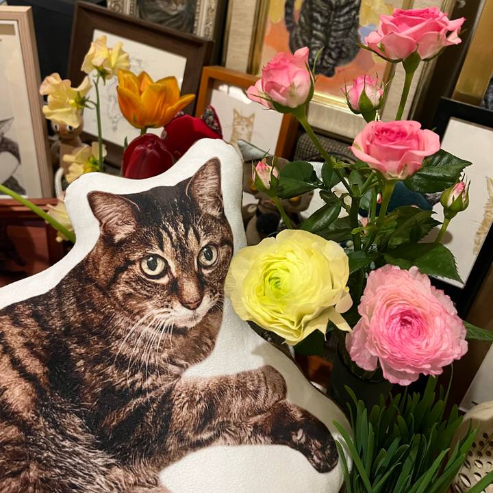 40f0c87c 598b 40e1 87f1 4f448a7952ec 1770293534643