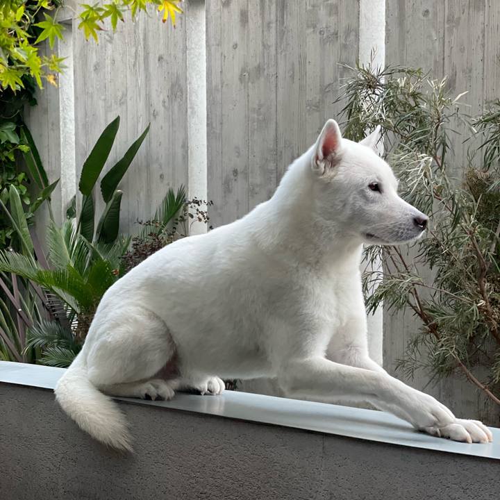 40f0f1d4 3fb8 4958 a7e5 2d2727d5a883 1668423265936