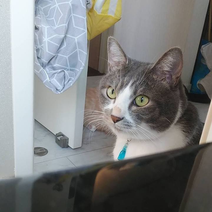 40f11827 18ae 4785 ac6e 77ba5fd8b176 1632386260412