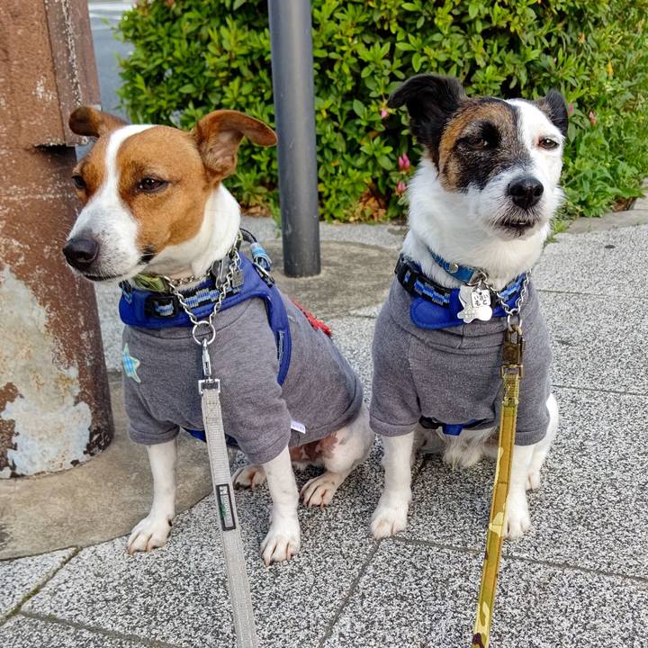 40f12e59 5a44 48eb af93 3881d3564e39 1617488814945