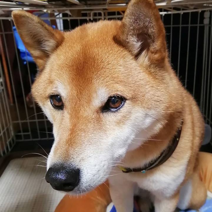 40f1433d 7f84 4715 ad12 f88a65bba616 1609320656339