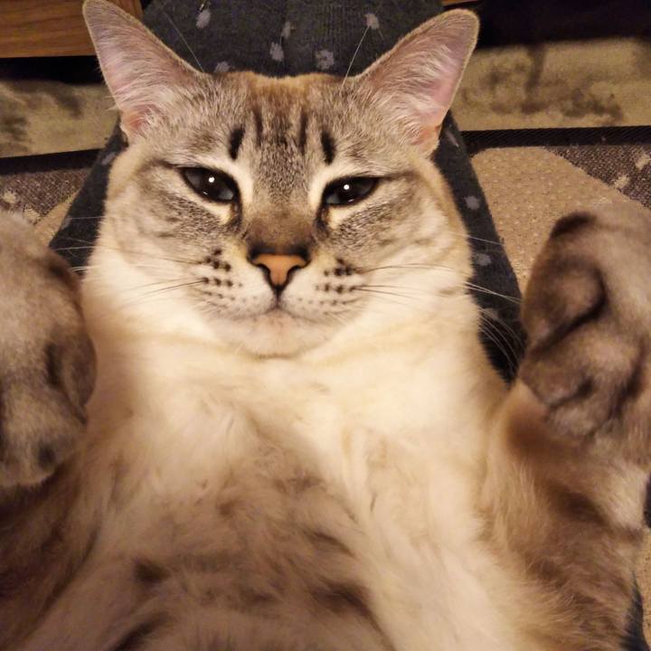 40f15465 f7fb 4dac 91ea 452c143d88bd 1549191779849