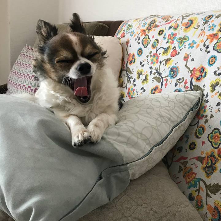 40f1e306 f307 4310 8e56 ae6cbf98b198 1524229150504