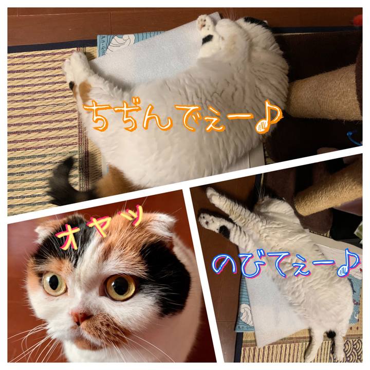 40f1f2dd c3a9 40b6 b63a ffbf8694848b 1576115402758