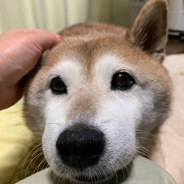 40f1f8bd d213 4de8 9065 053f2f23abe3 1567034730599