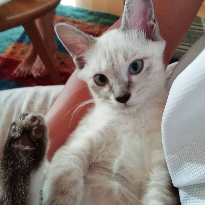 40f20ab3 f353 4a1b 8f7a ca552725af48 1535266655441