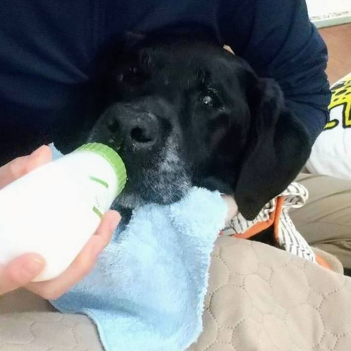 40f20d22 3128 4876 9a68 45ca4442a780 1718449287120