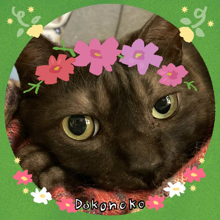 40f2447b f8e3 4b4f 8e77 d9c4df678815 1726886141939