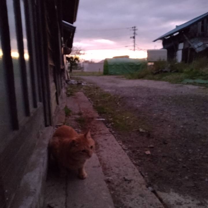 40f29540 5907 4f3d 9176 e19b459e45cd 1667081301312